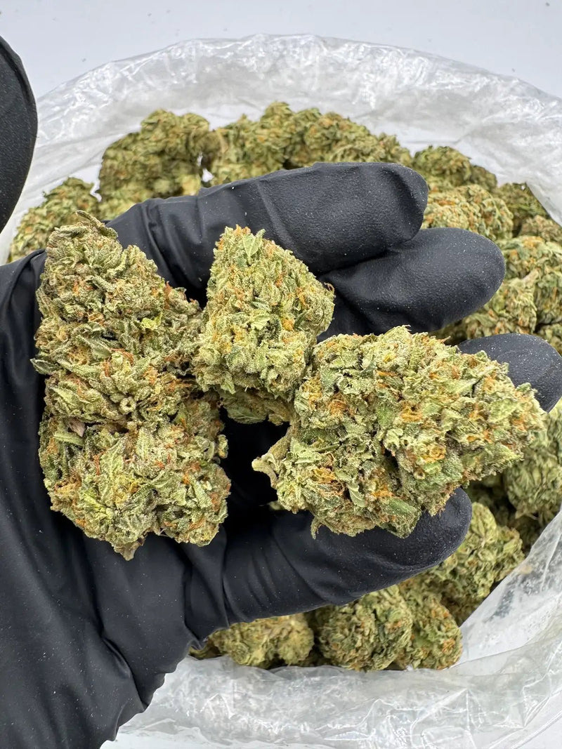 Bulk THCa AAA Depz - Gelato 41 - 34.49% - 1LB - Bandit Distribution