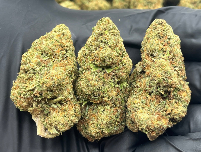 Bulk THCa AAA Depz - Gelonade - % - 1LB - Bandit Distribution
