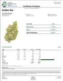 Bulk THCa AAA Depz - Golden Gas - 32.02% - 1LB - Bandit Distribution