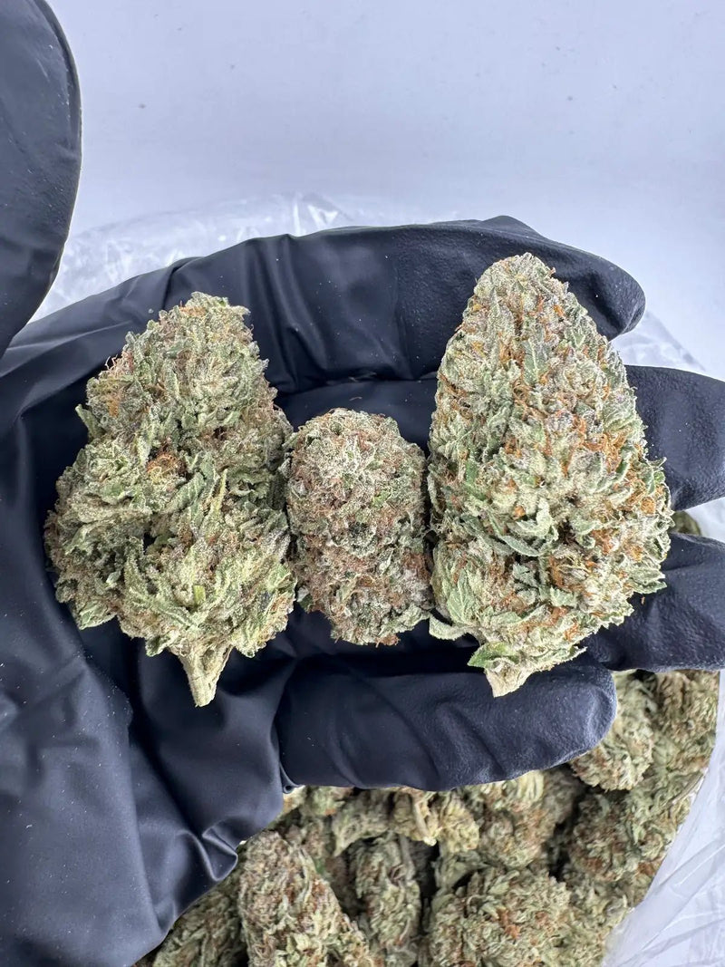 Bulk THCa AAA Depz - Guava Cake - 32.08% - Bandit Distribution