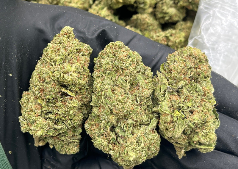 Bulk THCa AAA Depz - Lavender Jack - 31.44% - 1LB - Bandit Distribution
