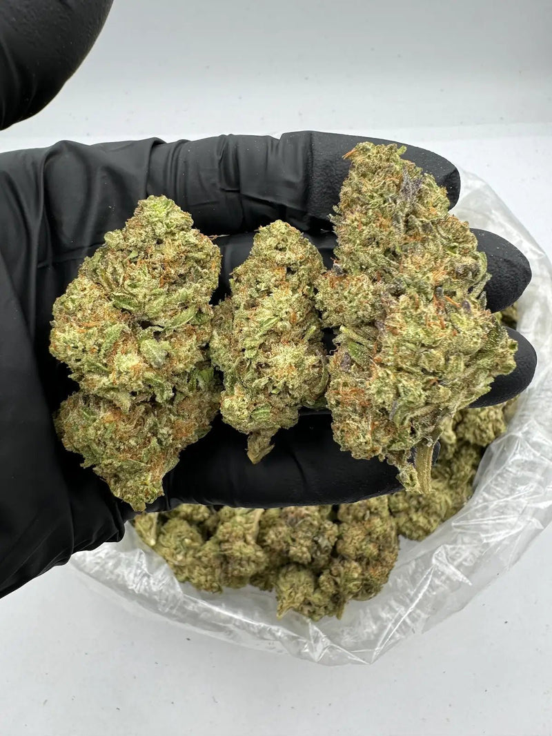 Bulk THCa AAA Depz - Oreoz - 32.63% - Bandit Distribution