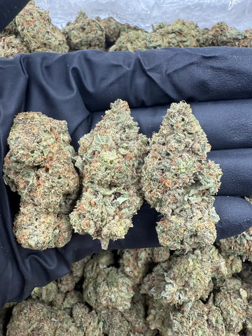 Bulk THCa AAA Depz - Platinum - 32.07% - Bandit Distribution