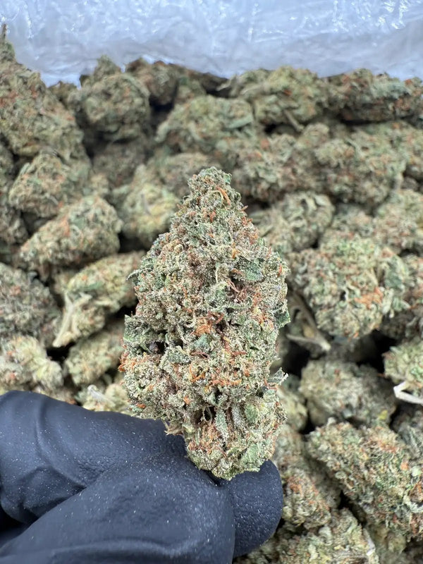 Bulk THCa AAA Depz - Platinum - 32.07% - 1LB – HempWholesaler