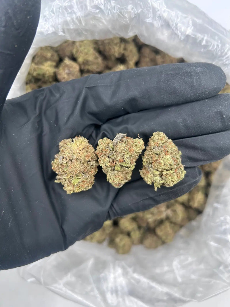 Bulk THCa AAA Depz - Platinum Puff - 32.07% - 1LB - Bandit Distribution