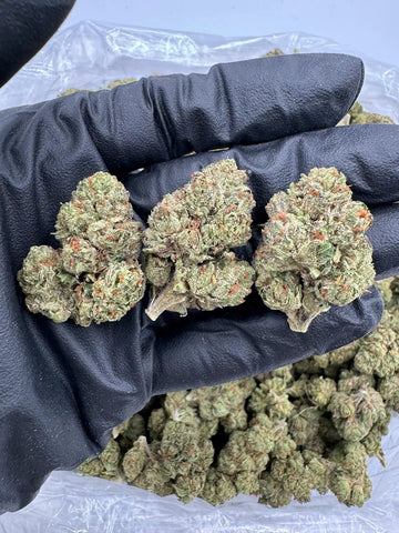 Bulk THCa AAA Depz PLUS - Candyland - 31.38% - 1LB - Bandit Distribution