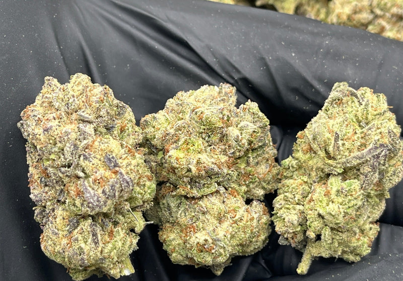 Bulk THCa AAA Depz PLUS - Frosted Donuts - 33.02% - 1LB - Bandit Distribution