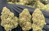 Bulk THCa AAA Depz PLUS - GMO Fa SHO - 31.81% - 1LB - Bandit Distribution