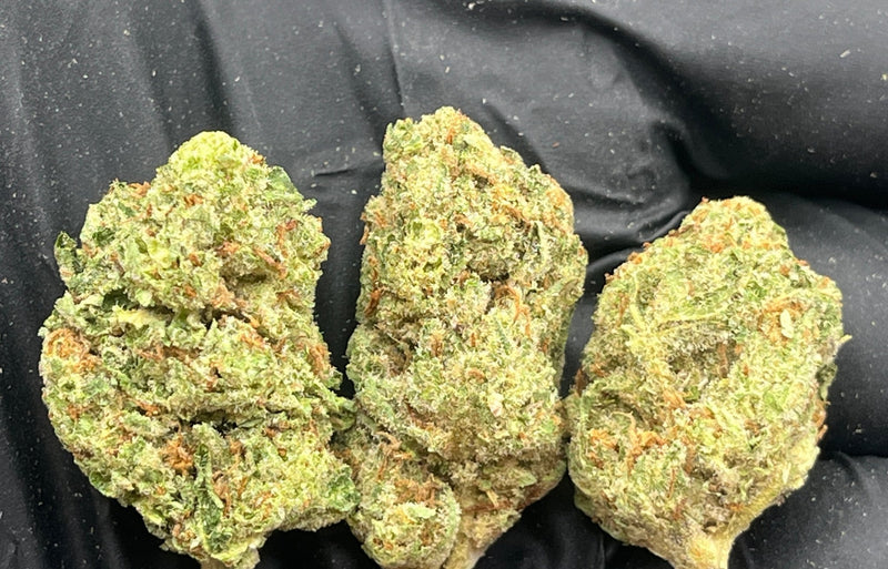 Bulk THCa AAA Depz PLUS - Grease Monkey - 30.07% - 1LB - Bandit Distribution