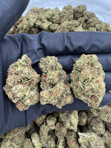 Bulk THCa AAA Depz PLUS - Ice Cream Cake - 28.04% - 1LB - Bandit Distribution