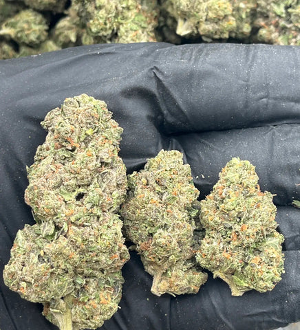 Bulk THCa AAA Depz PLUS - Jet Fuel Runtz - 32.27% - 1LB - Bandit Distribution