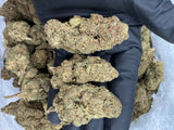 Bulk THCa AAA Depz PLUS - Tangerine Dream - 31% - 1LB - Bandit Distribution