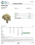 Bulk THCa AAA Depz - Purple Taffy - 29.13% - 1LB - Bandit Distribution