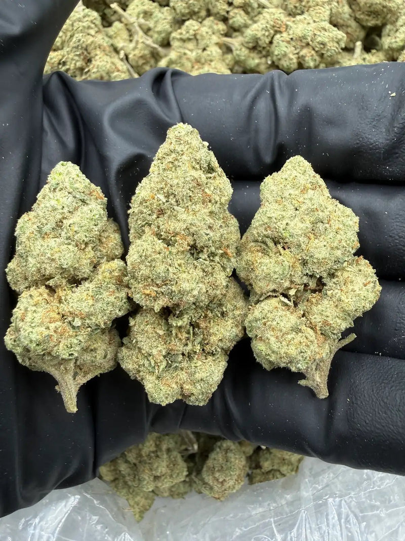 Bulk THCa AAA Depz - Purple Taffy - 29.13% - 1LB - Bandit Distribution