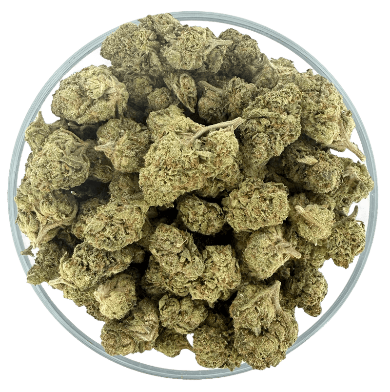 Bulk THCa AAA Depz - Runtz - 31.30% - Bandit Distribution