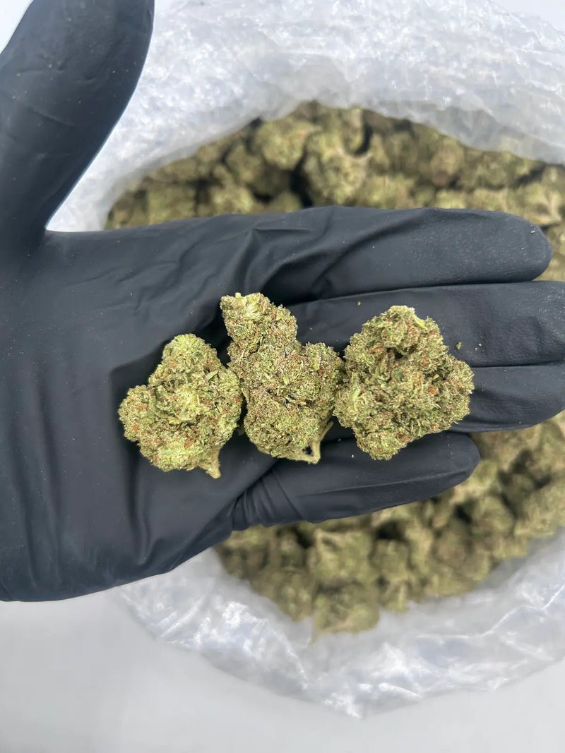 Bulk THCa AAA Depz - Sherb - 33.00% - 1LB - Bandit Distribution