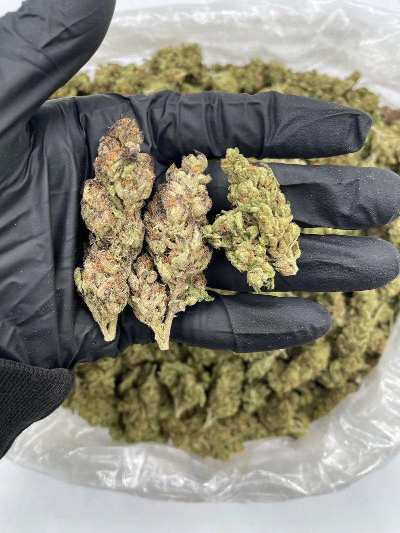 Bulk THCa AAA Depz - Sour Diesel - 31.44% - 1LB - Bandit Distribution