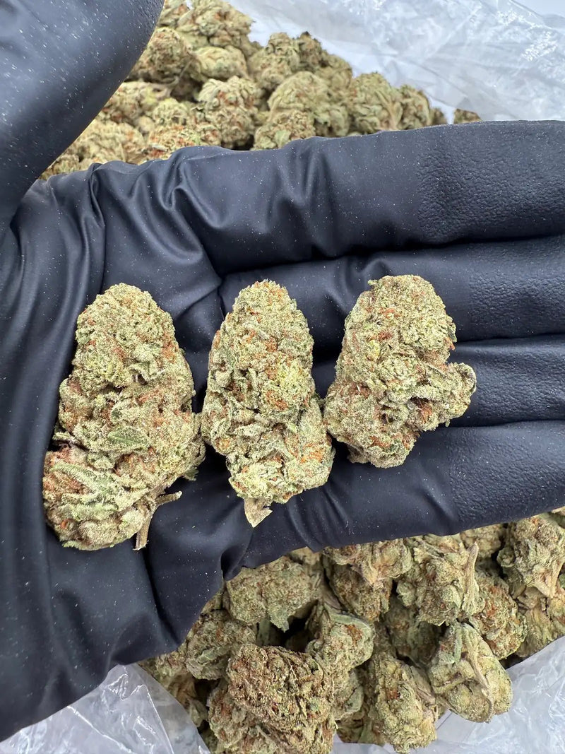 Bulk THCa AAA Depz - Triangle Kush - 31.64% - Bandit Distribution