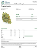 Bulk THCa AAA Depz - Tropical Cookies - 32.33% - 1LB - Bandit Distribution