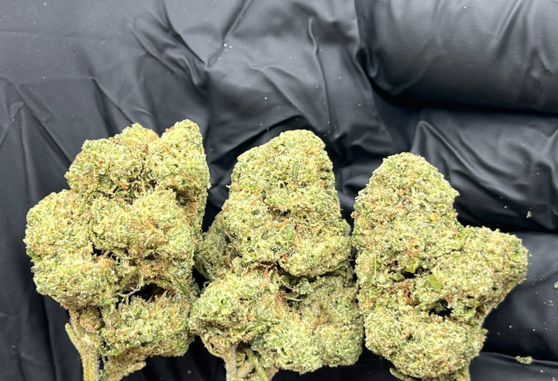 Bulk THCa AAA Depz - White Runtz - 32.78% - Bandit Distribution