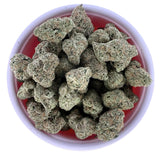Bulk THCa AAA Exotics Indoor Flower 1lb - Blue Rhino (31.28%) - Bandit Distribution