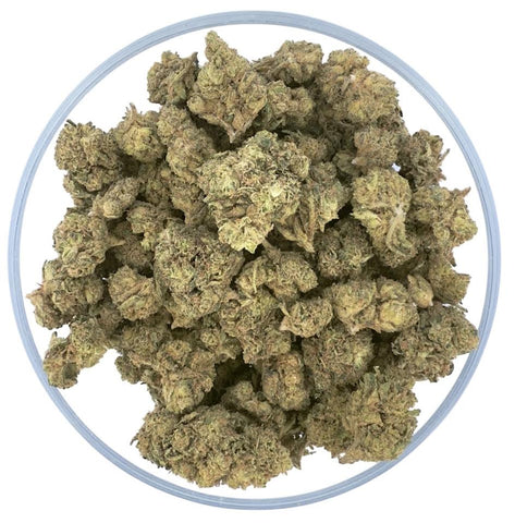 Bulk THCa AAA Light Dep Flower - Acapulco Haze - 26.85% - Bandit Distribution