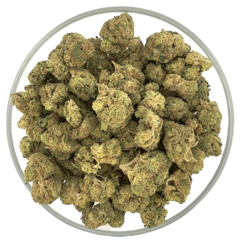 Bulk THCa AAA Light Dep Flower - Ice Cream Cake - 30.05% - Bandit Distribution