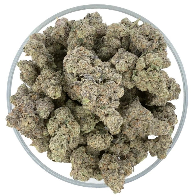 Bulk THCa AAAA Super Exotic Indoor Flower - Champu - 42.76% - Bandit Distribution