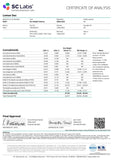 Bulk THCa AAAA Super Exotic Indoor Flower - Lemon Doc - 37.54% - Bandit Distribution