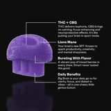 Delta Munchies Big Brain Functional Microdose Gummies - Mixed Berry - 5ct / 8 Pack Display - Bandit Distribution