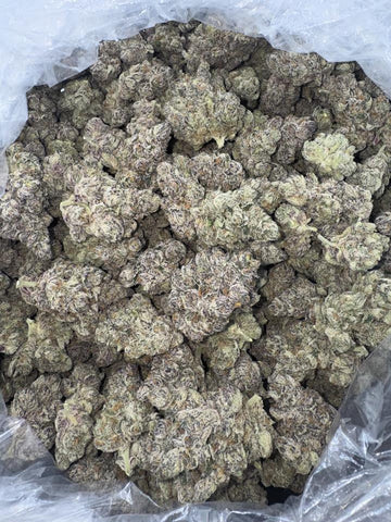 DS - Bulk High End Exotics - Mavens Small Batch Thca Flower - Chrome Dome - 31.59% - Bandit Distribution