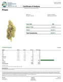 DS - Bulk High End Exotics - Mavens Small Batch Thca Flower - Prizm - 32.84% - Bandit Distribution