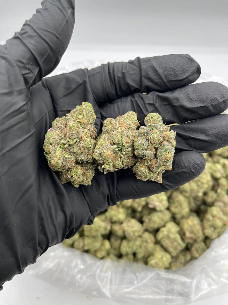 DS - Bulk Thca Indoor Exotic Flower - Apple Fritter 30.55% - Indica - Bandit Distribution