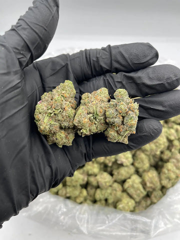 DS - Bulk Thca Indoor Exotic Flower - Apple Fritter 30.55% - Indica - Bandit Distribution