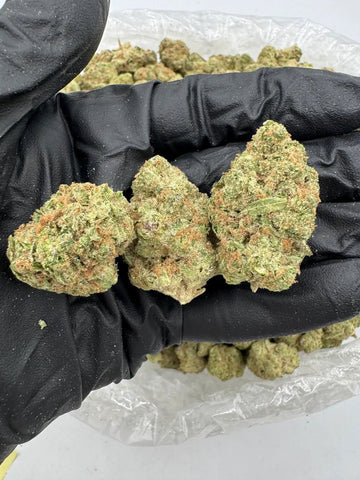 DS - Bulk Thca Indoor Exotic Flower - Blackberry 33.21% - Indica - Bandit Distribution