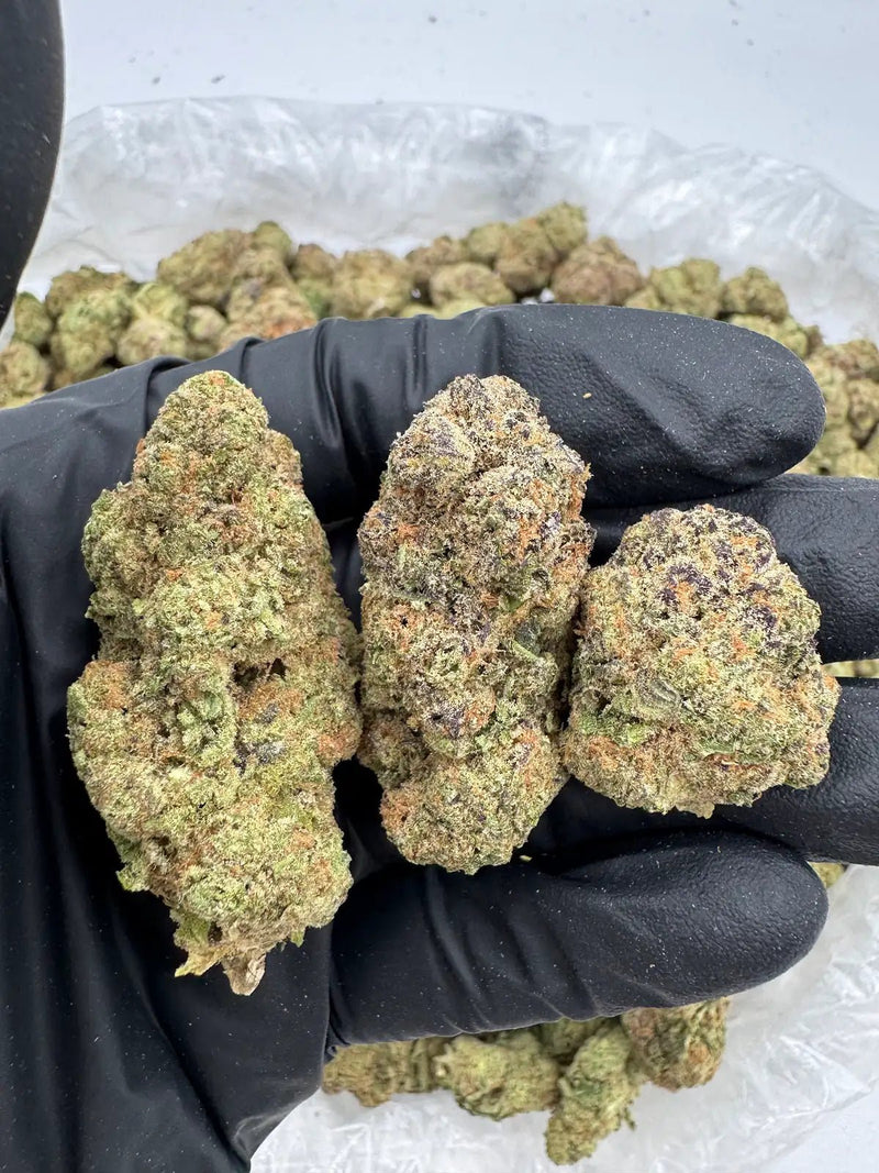 DS - Bulk Thca Indoor Exotic Flower - Blueberry Lemonade 32.84% - Indica - Bandit Distribution