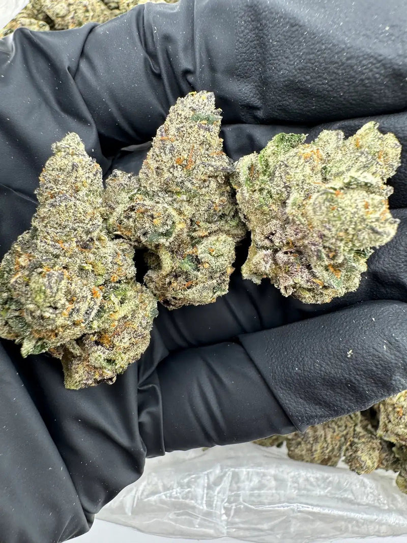 DS - Bulk Thca Indoor Exotic Flower - Cali Fire OG 31.88% - Indica - Bandit Distribution