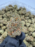 DS - Bulk Thca Indoor Exotic Flower - Canal ST Runtz 28.46% - Indica - Bandit Distribution
