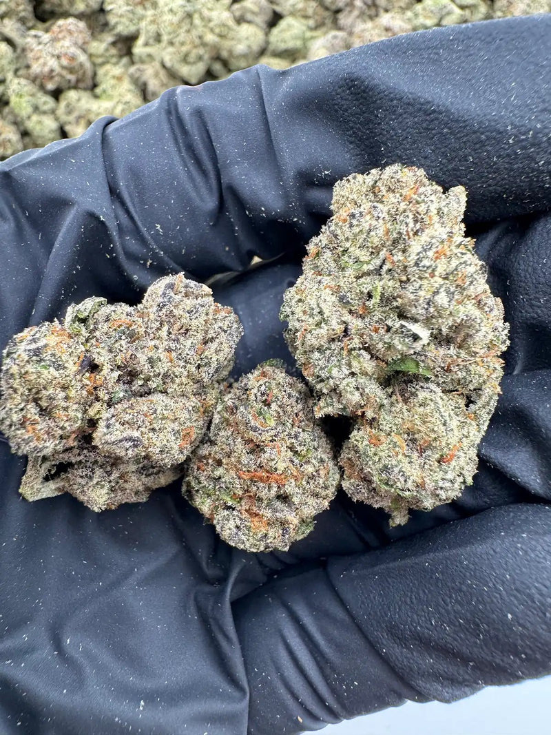 DS - Bulk Thca Indoor Exotic Flower - Georgia Pie 32.15% - Indica - Bandit Distribution