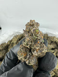DS - Bulk Thca Indoor Exotic Flower - Girl Scout Cookies 32.91% - Indica - Bandit Distribution