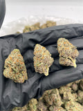 DS - Bulk Thca Indoor Exotic Flower - Government Oasis 31.66% - Indica - Bandit Distribution