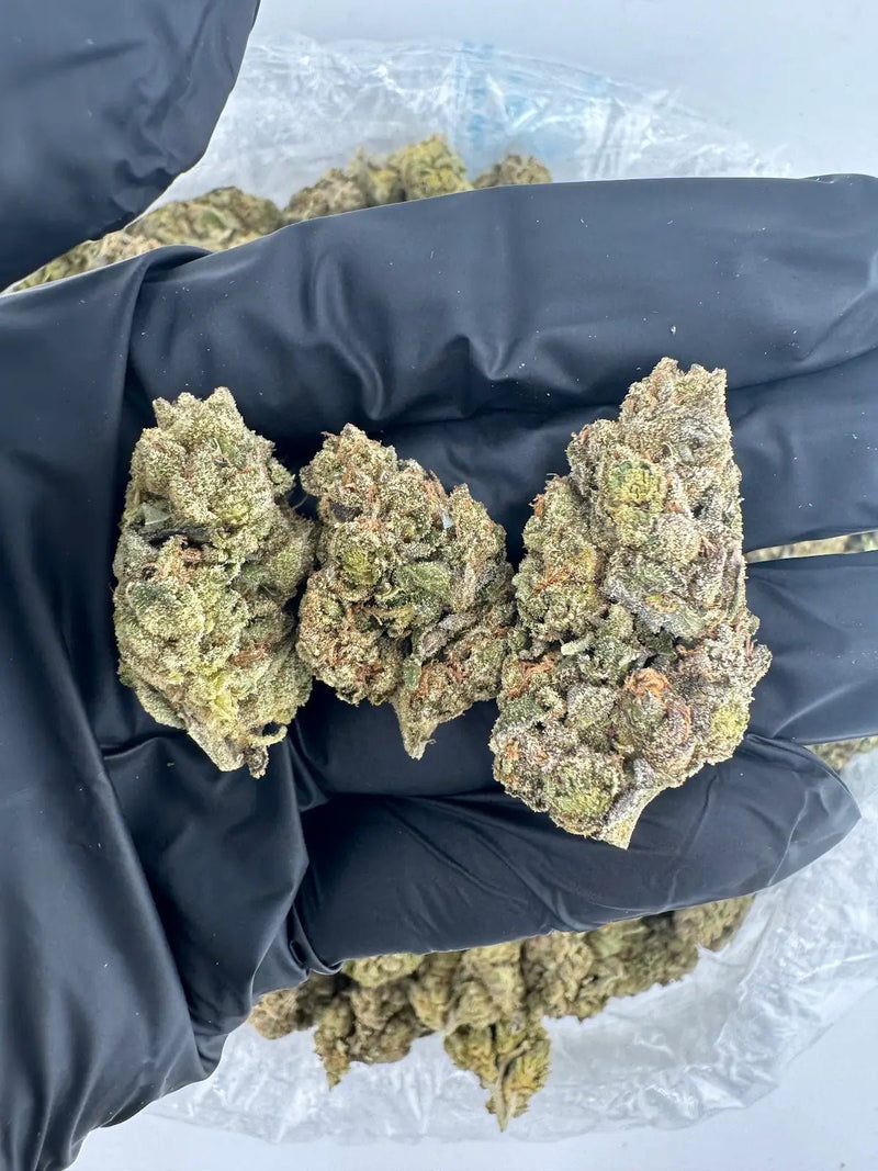 DS - Bulk Thca Indoor Exotic Flower - Grape Jolly Rancher - 31.33% - Indica - Bandit Distribution