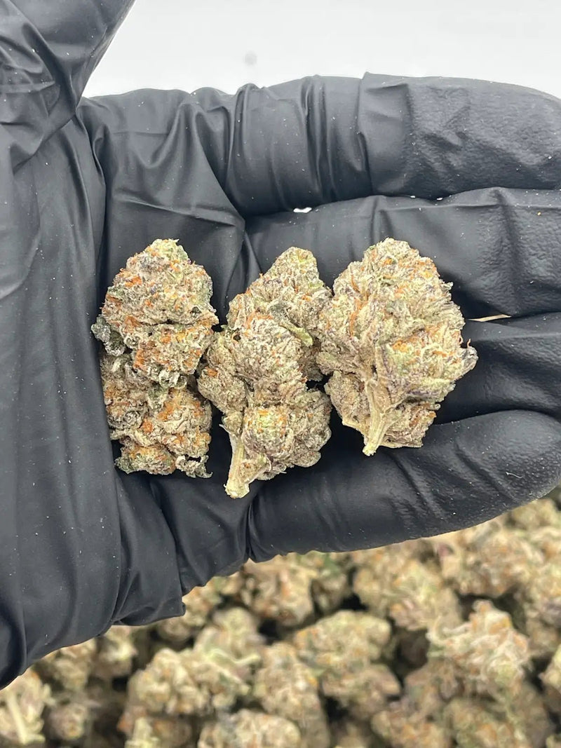 DS - Bulk Thca Indoor Exotic Flower - High Society - 32.68% - Hybrid - Bandit Distribution