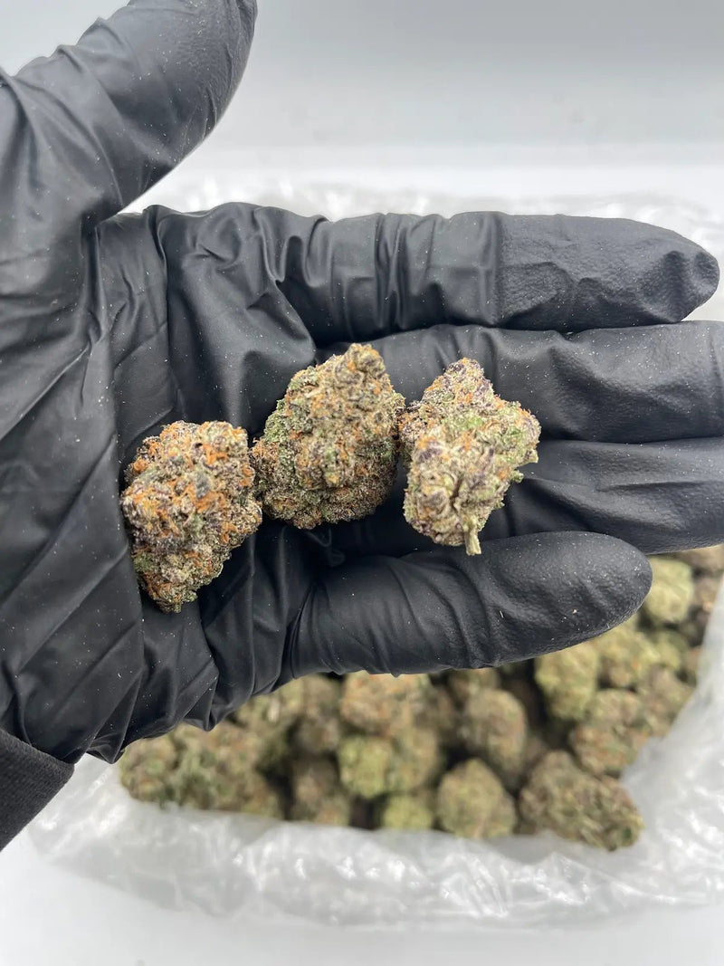 DS - Bulk Thca Indoor Exotic Flower - Jelly Zonuts 32.65% - Sativa - Bandit Distribution