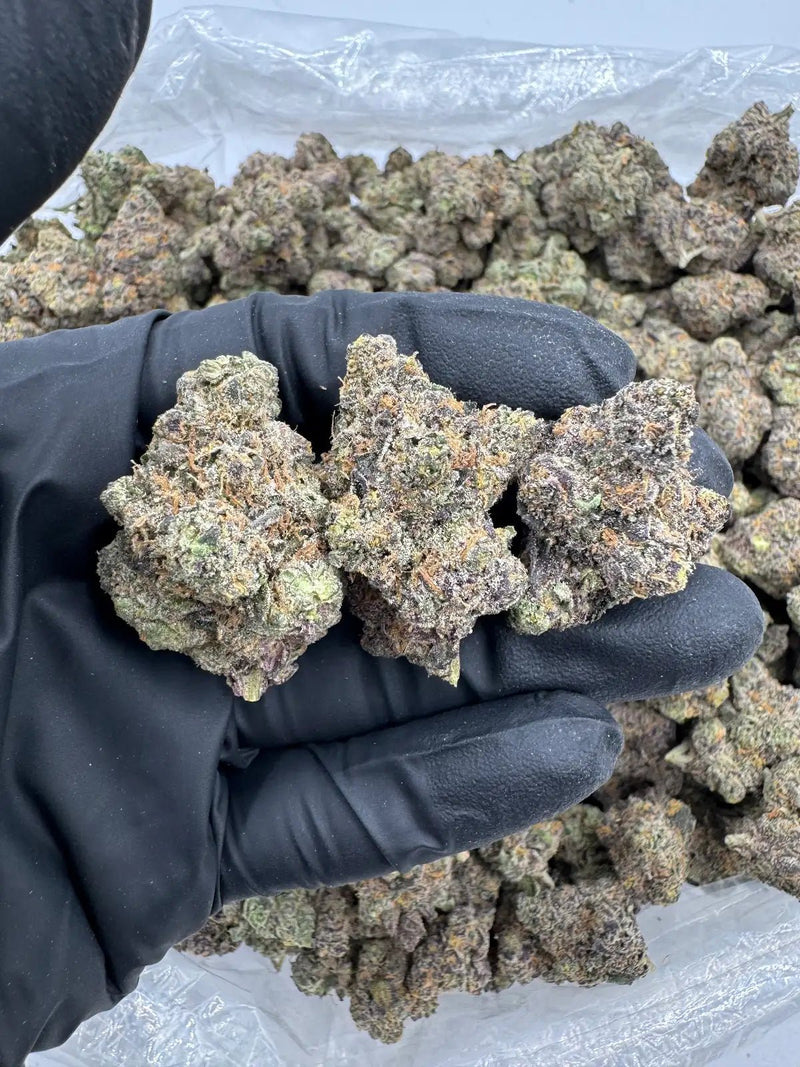 DS - Bulk Thca Indoor Exotic Flower - Lemon Freeze 31.57% - Sativa - Bandit Distribution