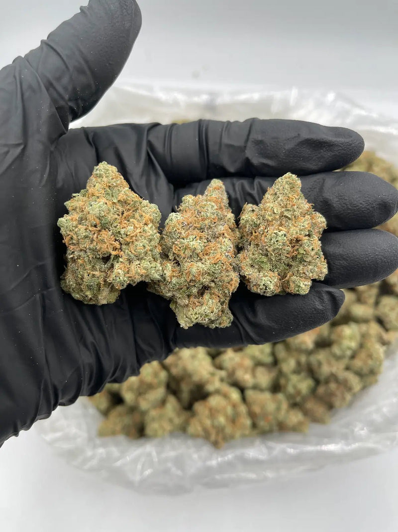 DS - Bulk Thca Indoor Exotic Flower - Mango Mentality 31.19% - Hybrid - Bandit Distribution