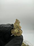 DS - Bulk Thca Indoor Exotic Flower - Mule Fuel OG 32.96% - Indica - Bandit Distribution