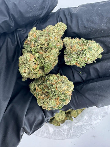 DS - Bulk Thca Indoor Exotic Flower - Pipe Dream - 33.07% - Sativa - Bandit Distribution