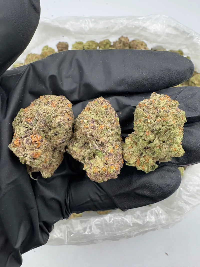 DS - Bulk Thca Indoor Exotic Flower - Purple Haze 29.20% - Sativa - Bandit Distribution