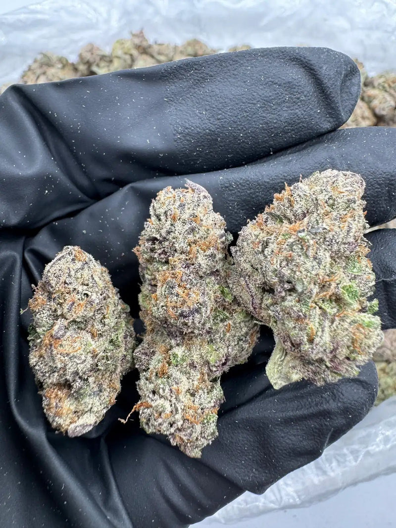 DS - Bulk Thca Indoor Exotic Flower - Purple Slime - 31.31% - Indica - Bandit Distribution